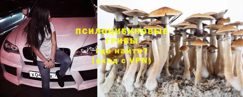 Псилоцибиновые грибы MAGIC MUSHROOMS  KRAKEN маркетплейс  Ревда  купить наркоту 